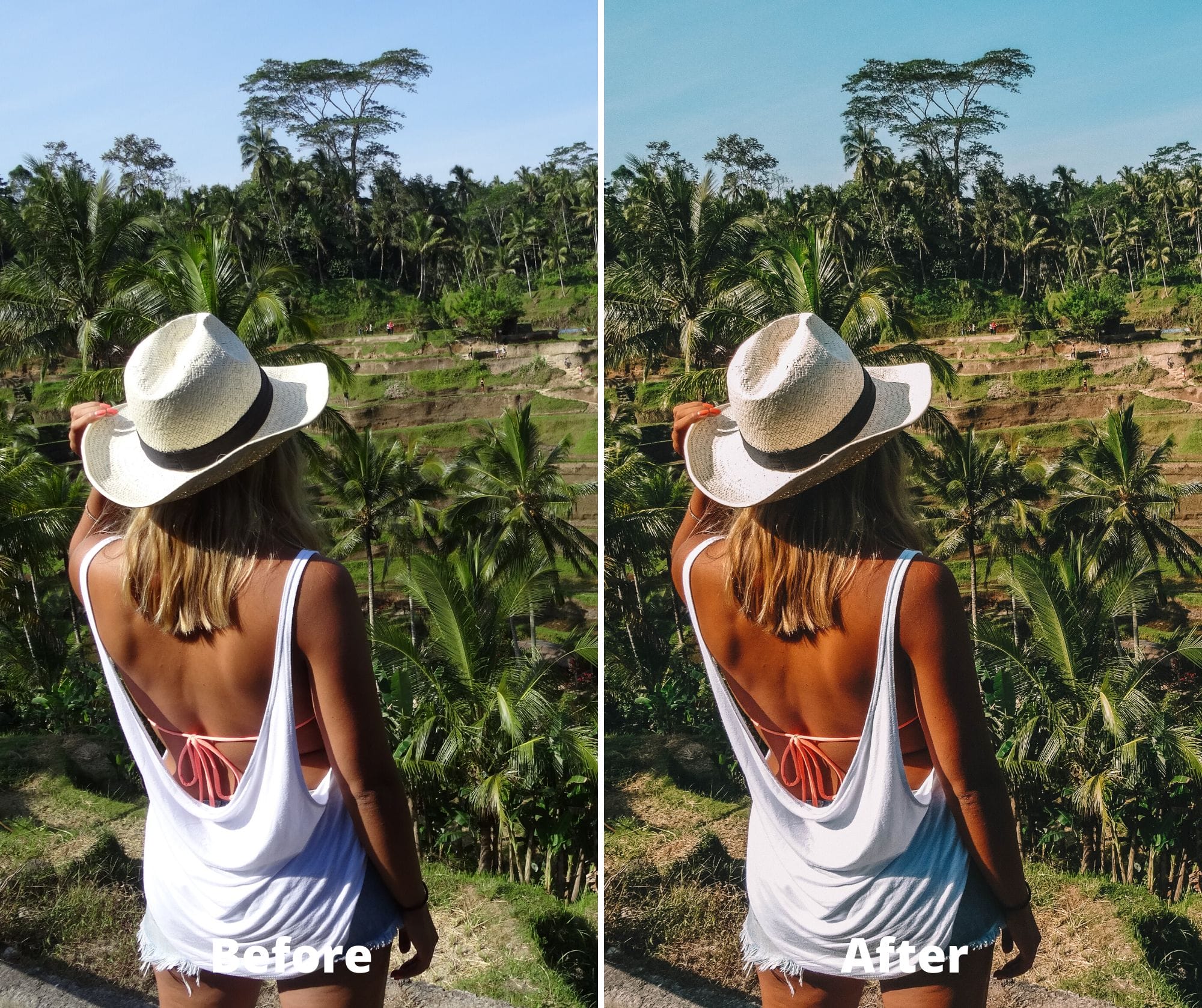 "Mighty Jungle" Preset Pack - Afbeelding 3