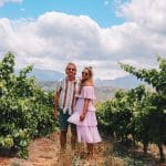 Chamonix Franshhoek wijntour