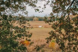 Moerputten Den Bosch