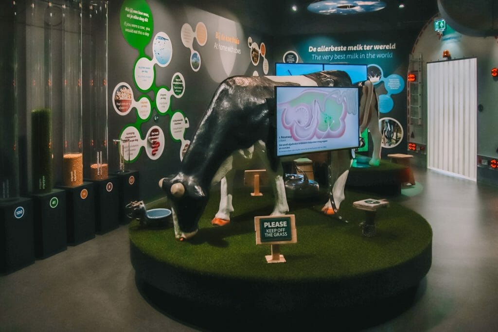 Gouda Cheese Experience