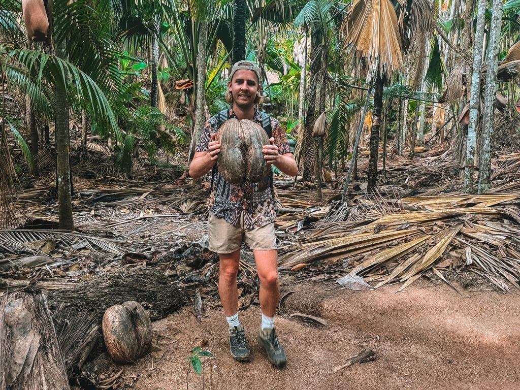 Coco de Mer Praslin Seychelles