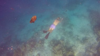 Snorkeling Maafushi Malediven
