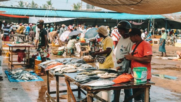 Negombo fish market