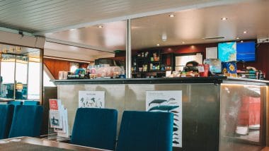 Elding Whale Watching tours