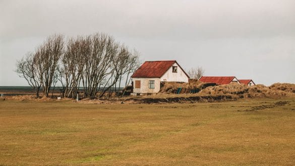 Seljalandsfoss Waterfall Selfoss