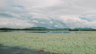 Tissamaharama Lake