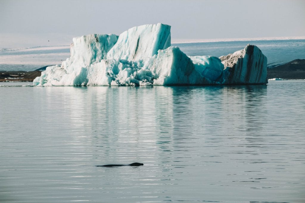Jökulsárlón glacier lake Höfn