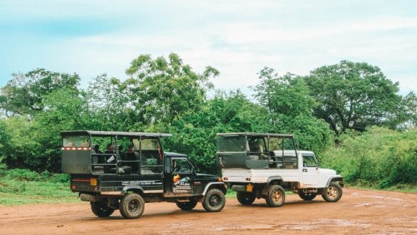 Safari Yala