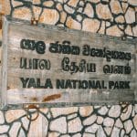 Yala National Park