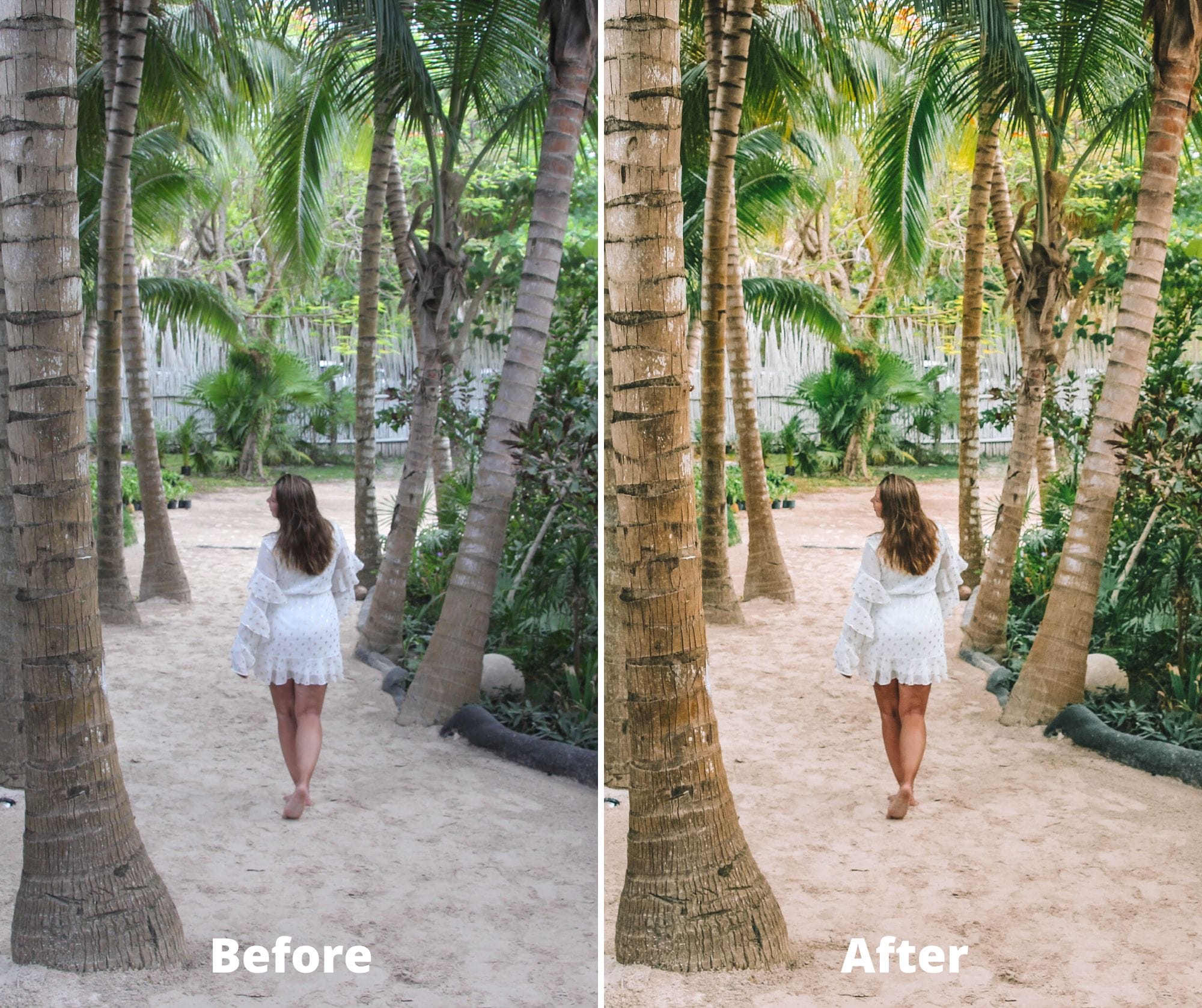 TRAVELDICTED Preset Multipack - Image 4