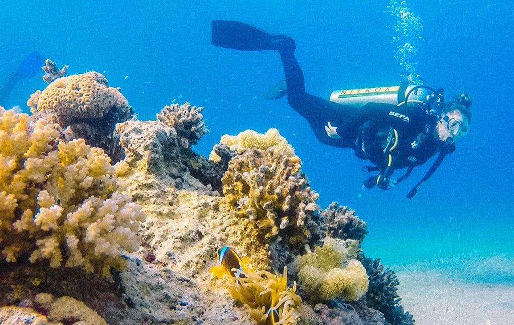 Diving Eilat