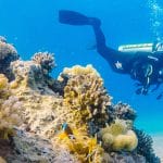 Diving Eilat
