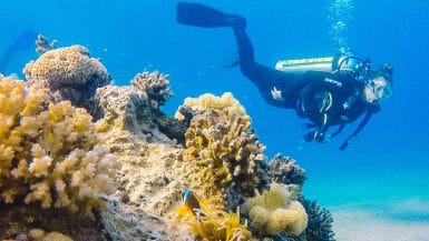 Diving Eilat