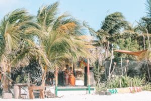 Raices Isla Holbox