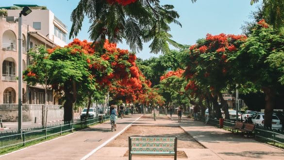 Rothschild Boulevard Tel Aviv