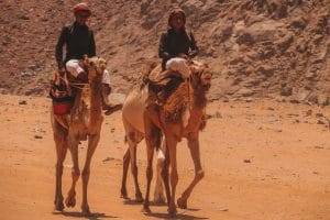 Wadi Rum Jeep Tour