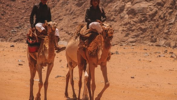 Wadi Rum Jeep Tour