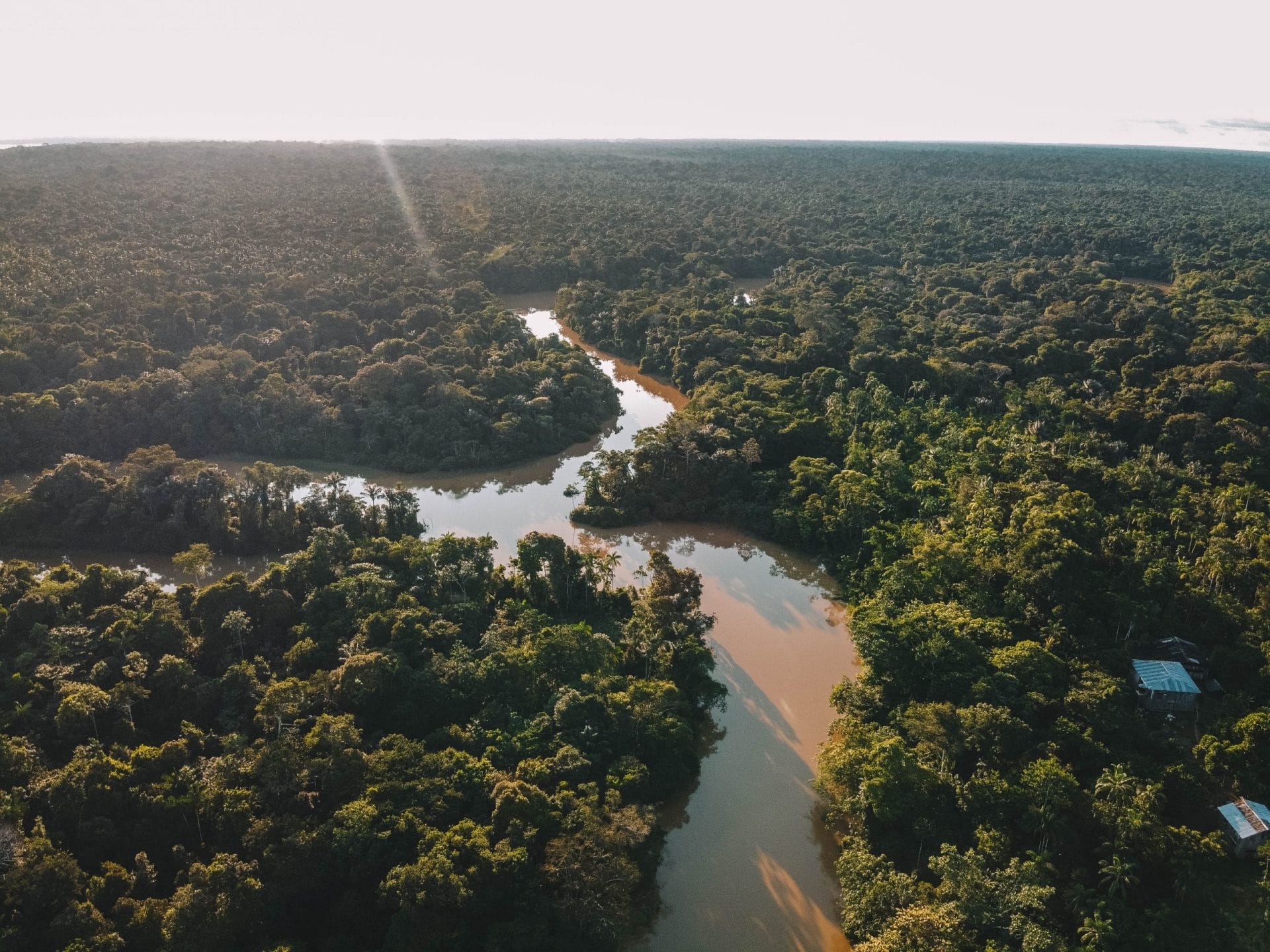 Amazone river