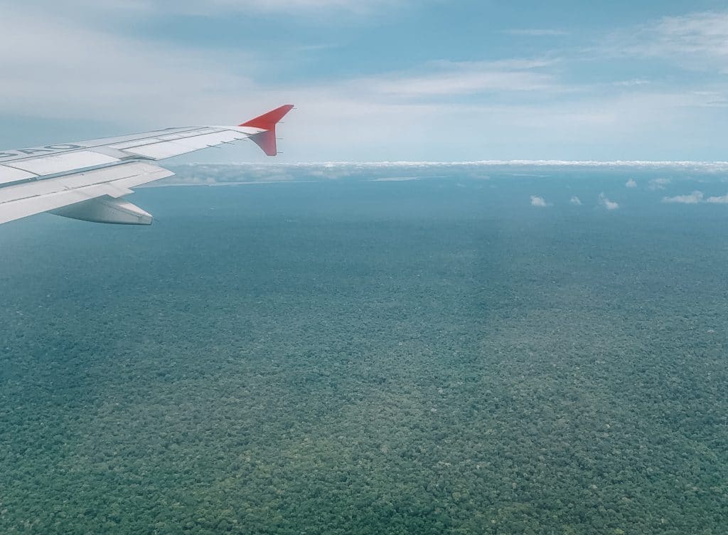 View over Amazon rainforest