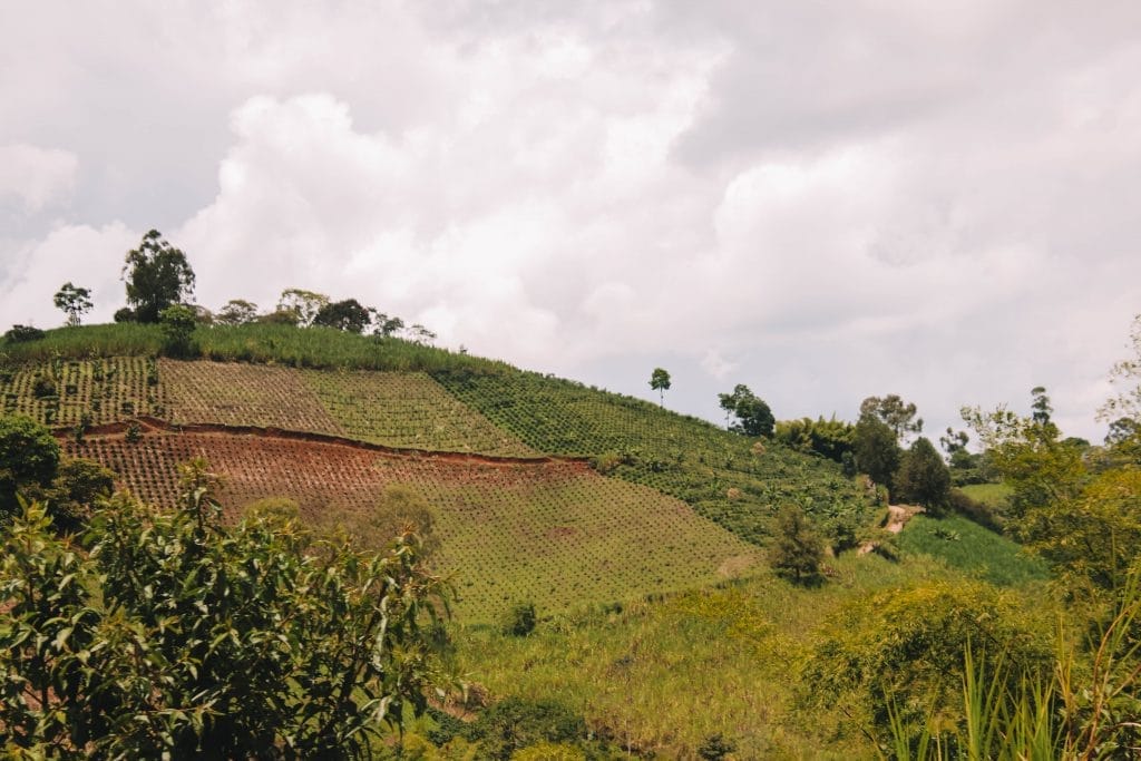San Agustin day tour