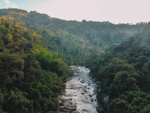 Magdalena river