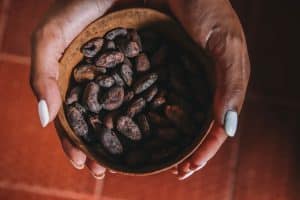Cacao beans Minca Colombia