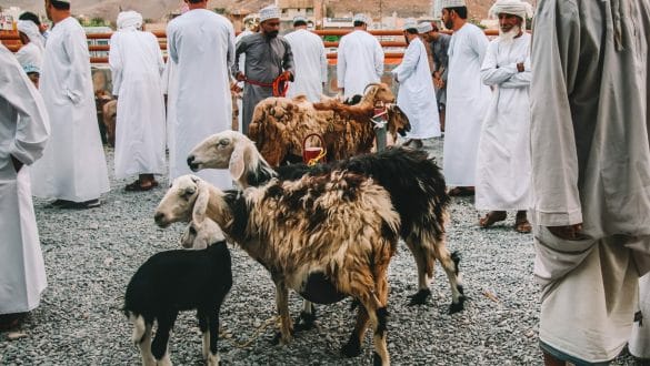 Goat market Nizwa