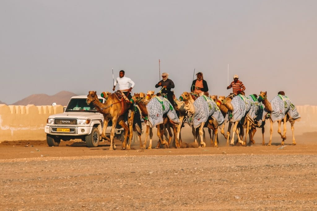 Camel Race Track Mayden Al Bashair