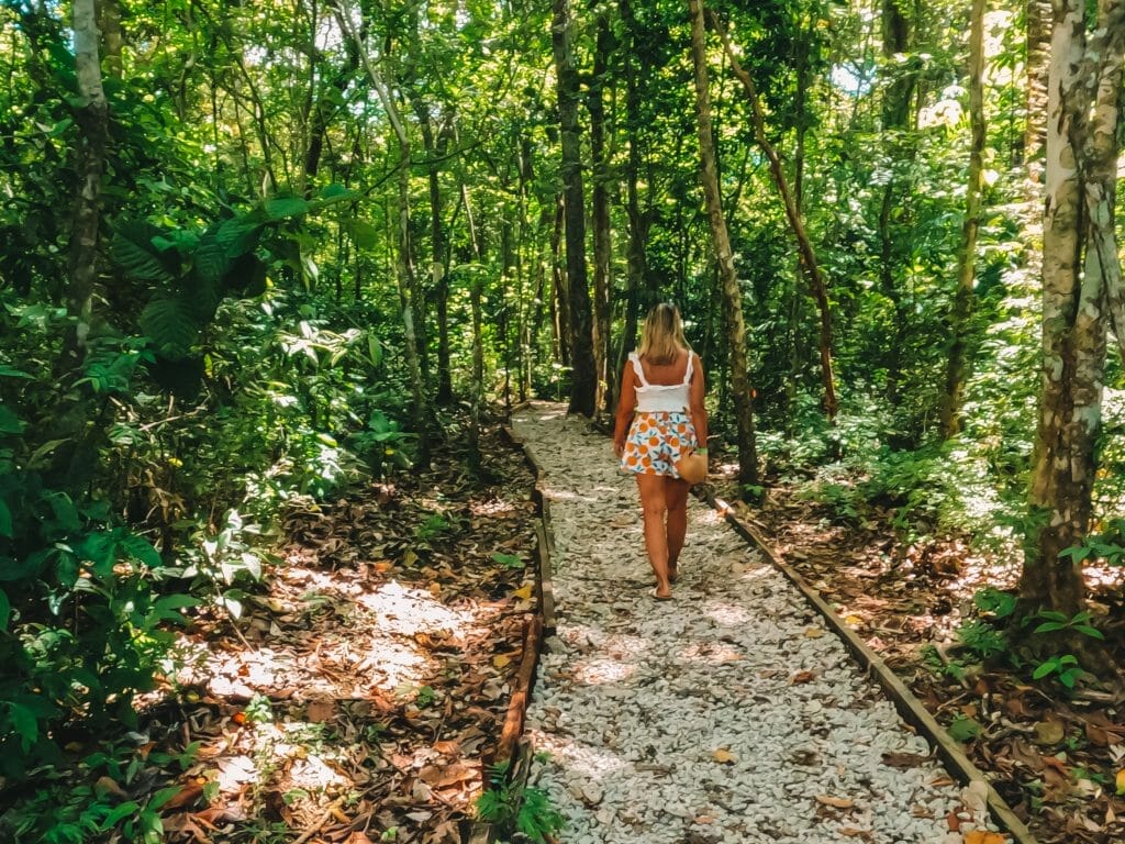 Metropolitan Natural Park Panama City