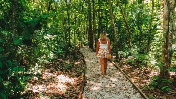 Metropolitan Natural Park Panama City