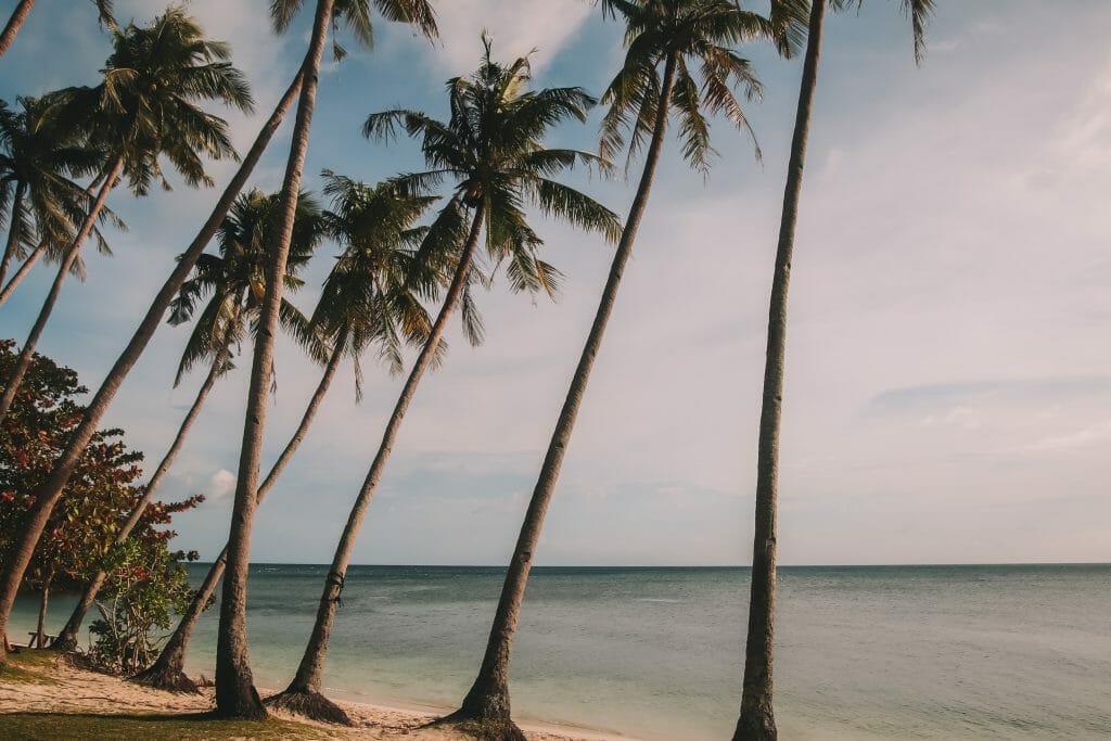 Paliton Beach Siquijor