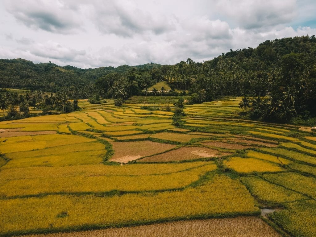 Rice Terraces Bohol