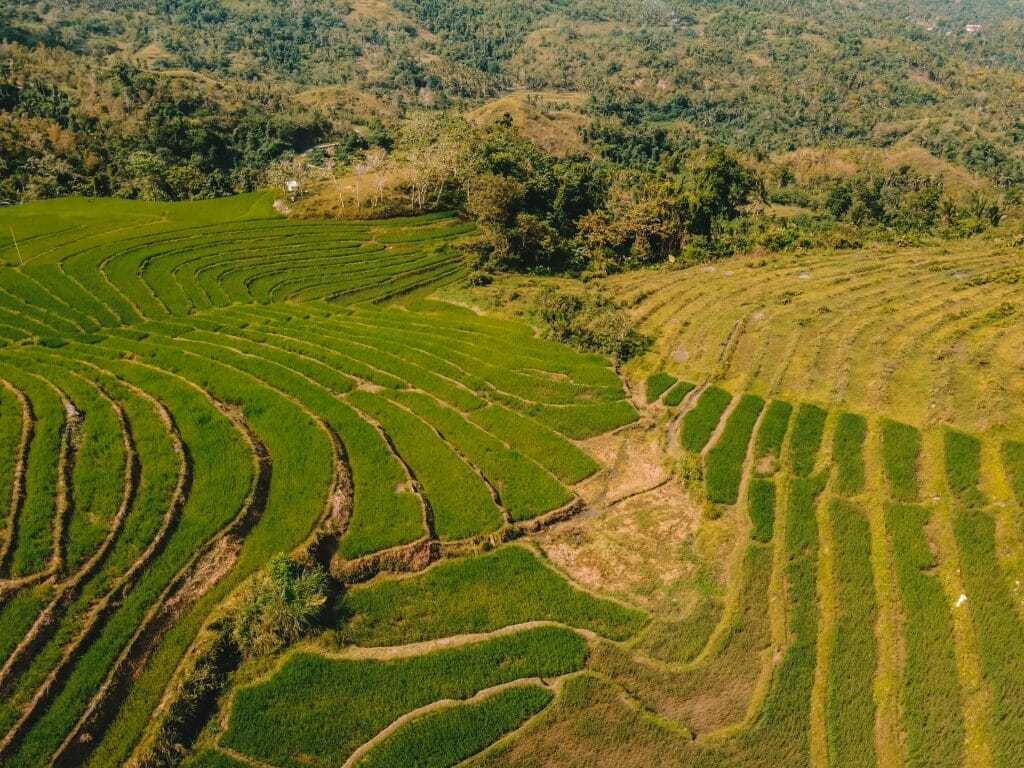 Cadapdapan Rice Terraces Bohol