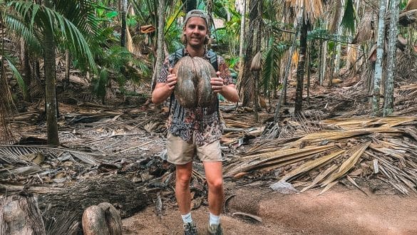 Fond Ferdinand Nature Reserve Praslin Seychelles