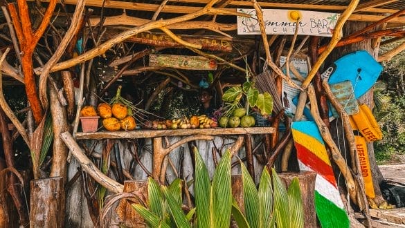 Anse Intendance Mahé