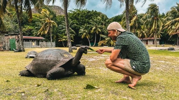 Giant Tortoises Curieuse Island
