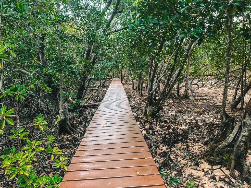 Boardwalk Curieuse Island