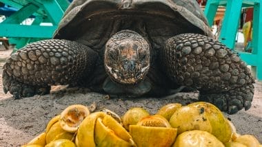 Anse Severe La Digue Seychelles