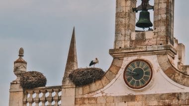 Arco da Vila and storks Faro