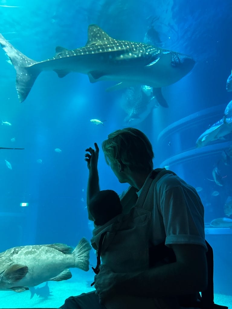 Osaka Aquarium